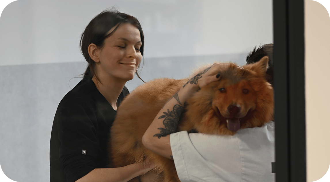 Auxiliaire-veterinaire