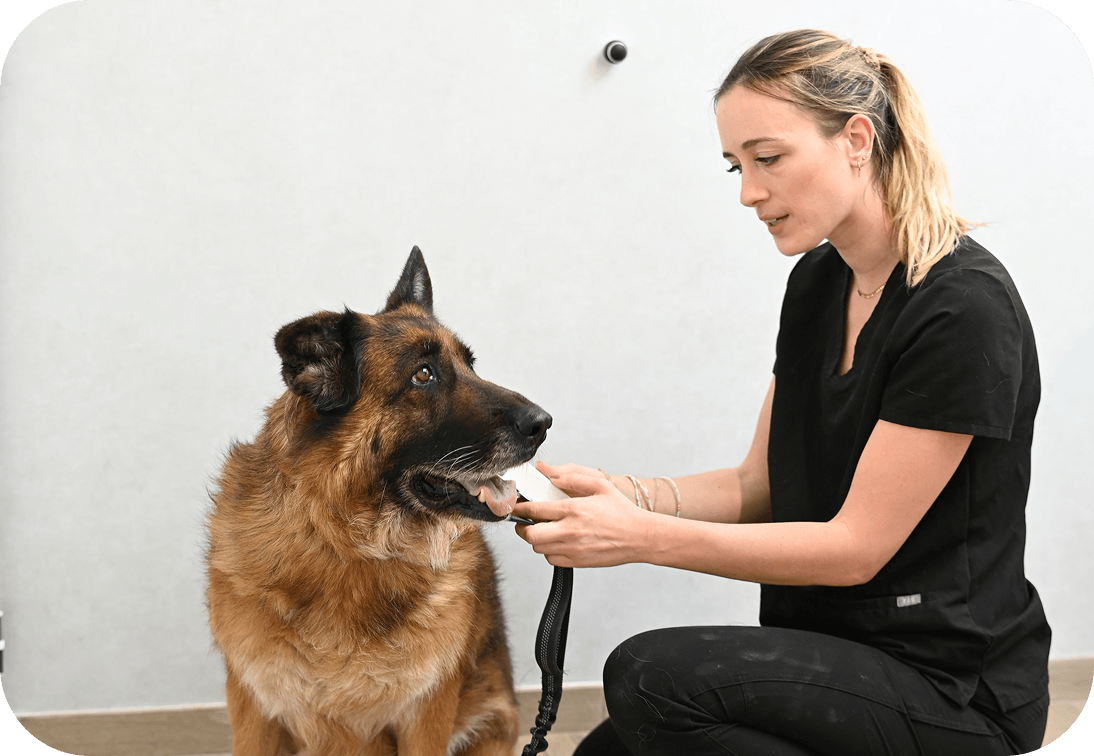 Prevenir-pour-mieux-soigner Médecine préventive vétérinaire – Prévenir pour mieux soigner