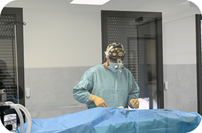 Chirurgie-generale-veterinaire Chirurgie Générale