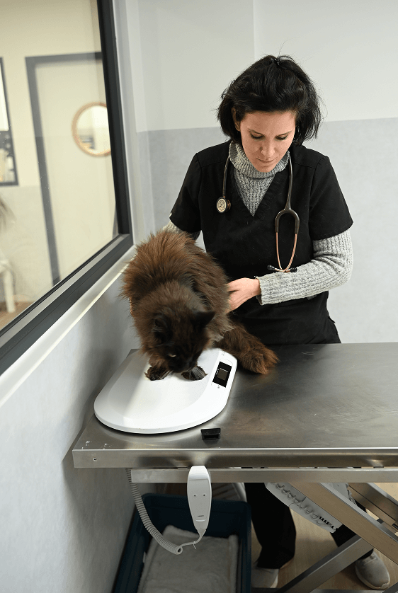 Clinique-3 (1) Les services de médecine préventive proposés à La Clauvade