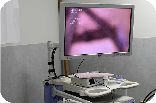 Endoscopie-veterinaire Endoscopie
