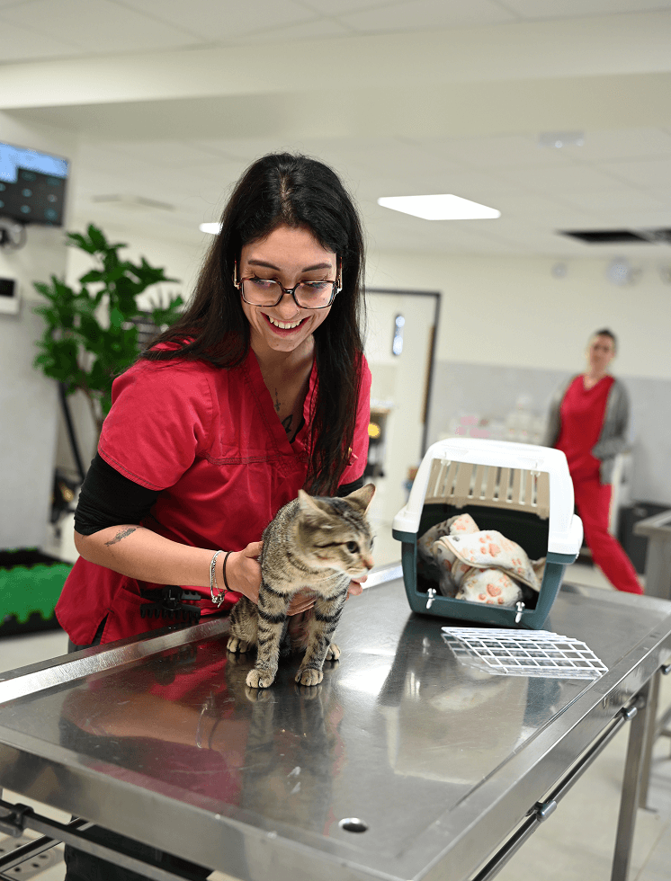 Home-1 Les services de médecine préventive proposés à La Clauvade