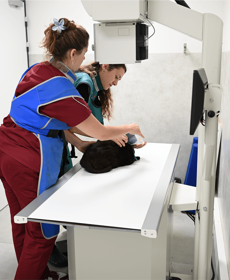Imagerie-1 Les services de médecine préventive proposés à La Clauvade