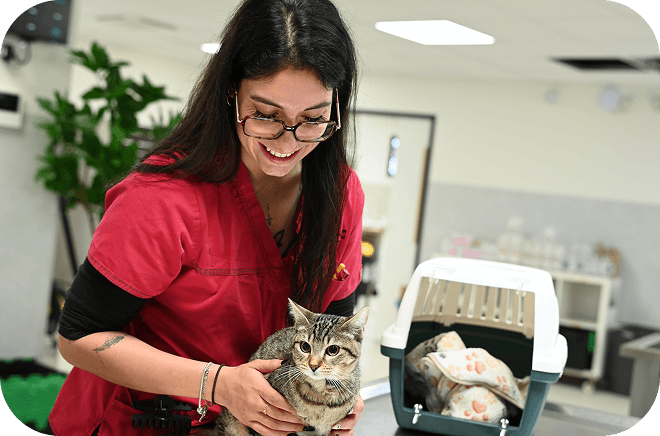 Medecine-generale-veterinaire Médecine préventive vétérinaire