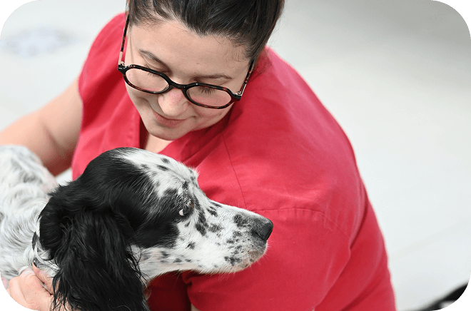 Oncologie-veterinaire Oncologie