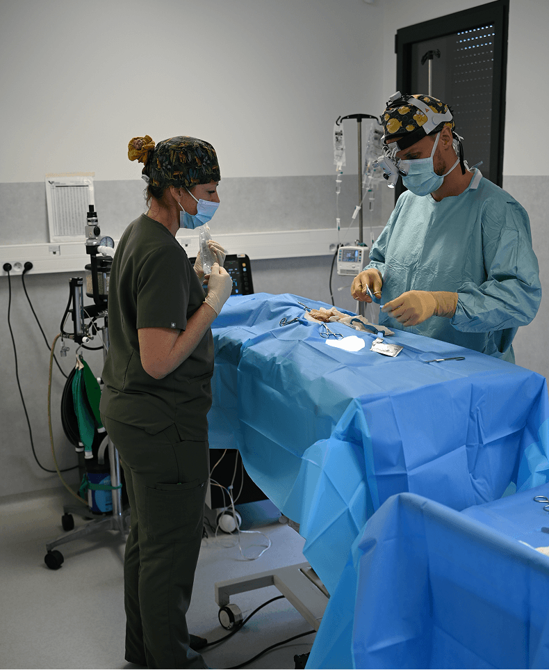 Urgences-1 Les services de médecine préventive proposés à La Clauvade