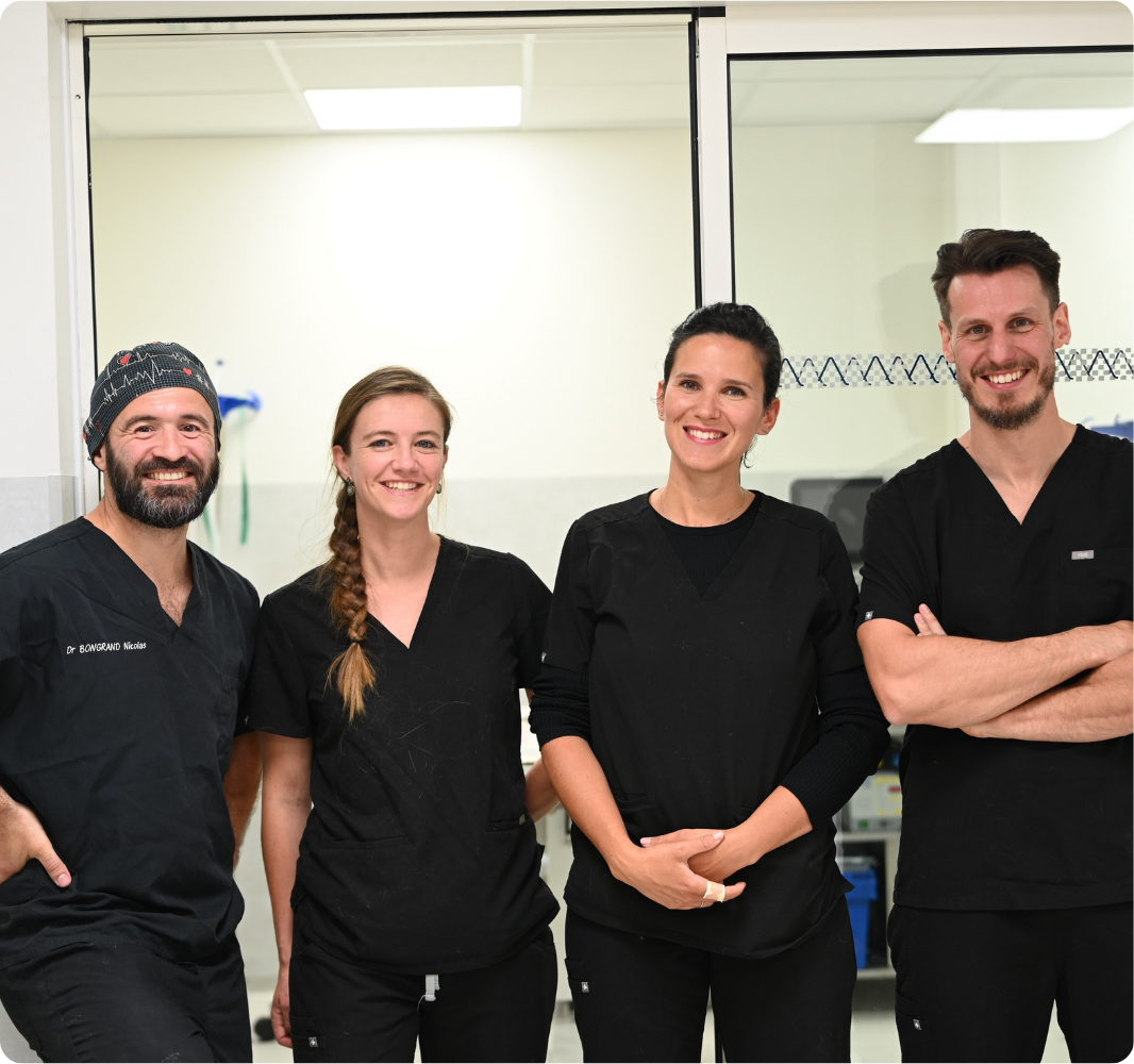 Equipe vétérinaire la Clauvade Cuers Equipe vétérinaire la Clauvade Cuers