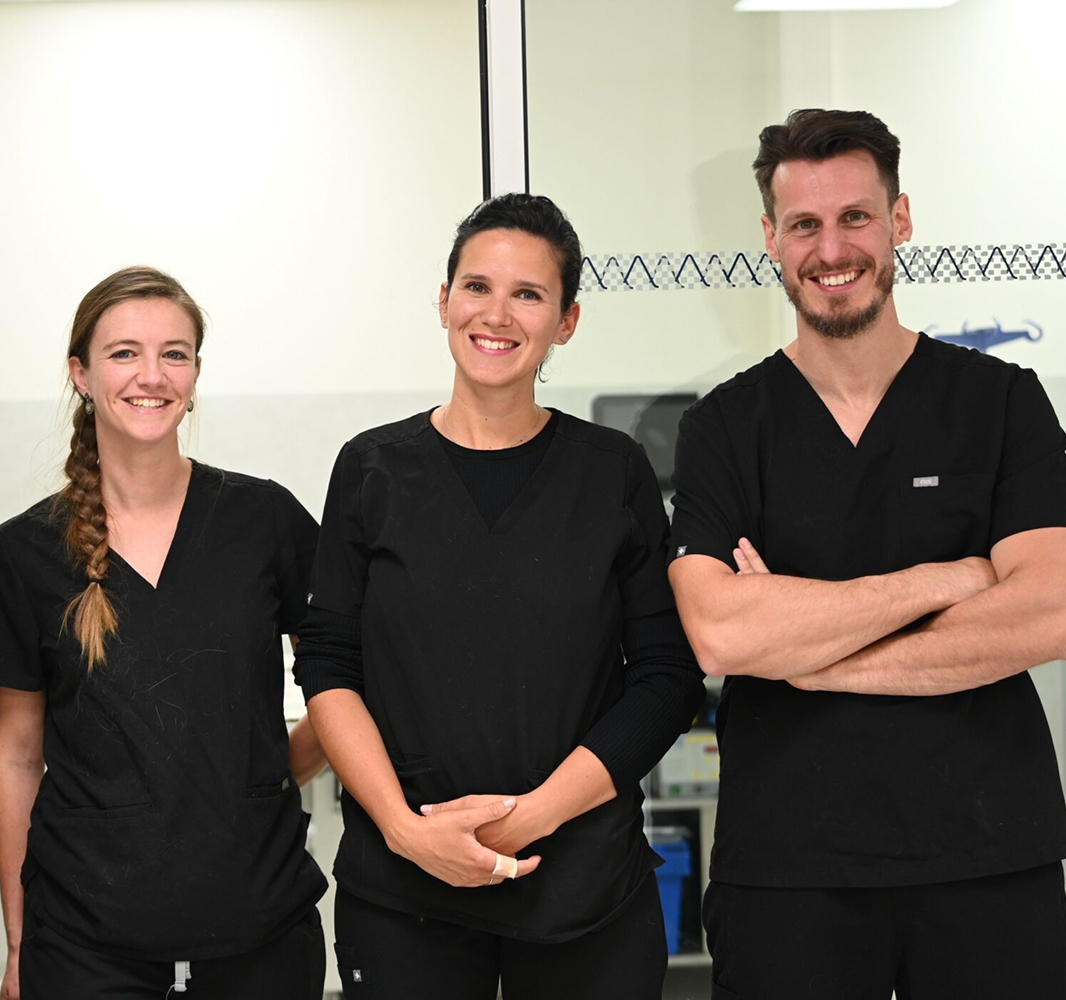 Equipe vétérinaire la Clauvade Cuers